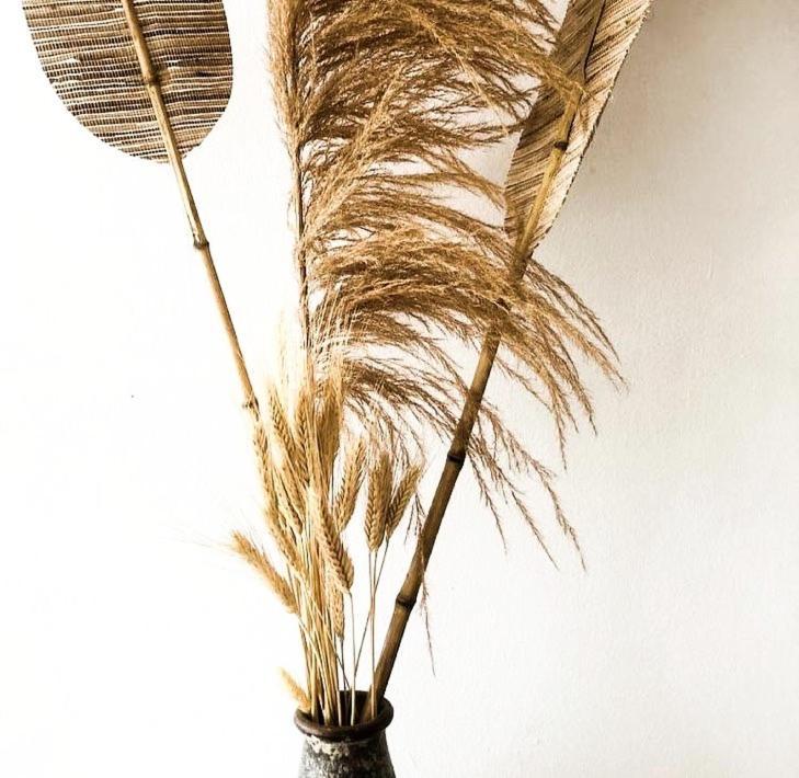 Aeolos Bay Tínos מראה חיצוני תמונה